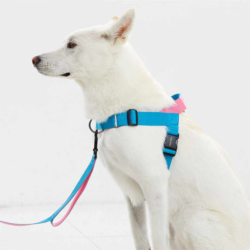 0109 Harness in gebruik