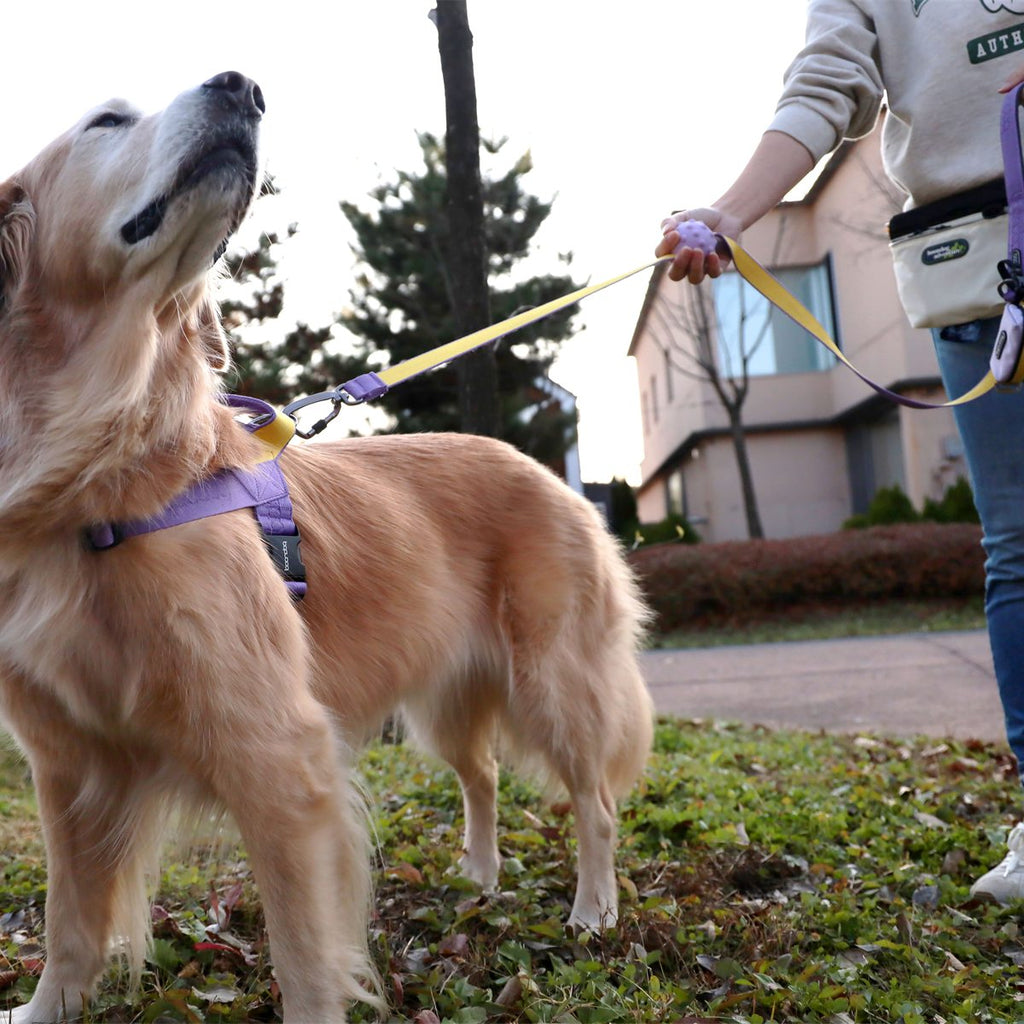 Original Leash 1,4 m in gebruik