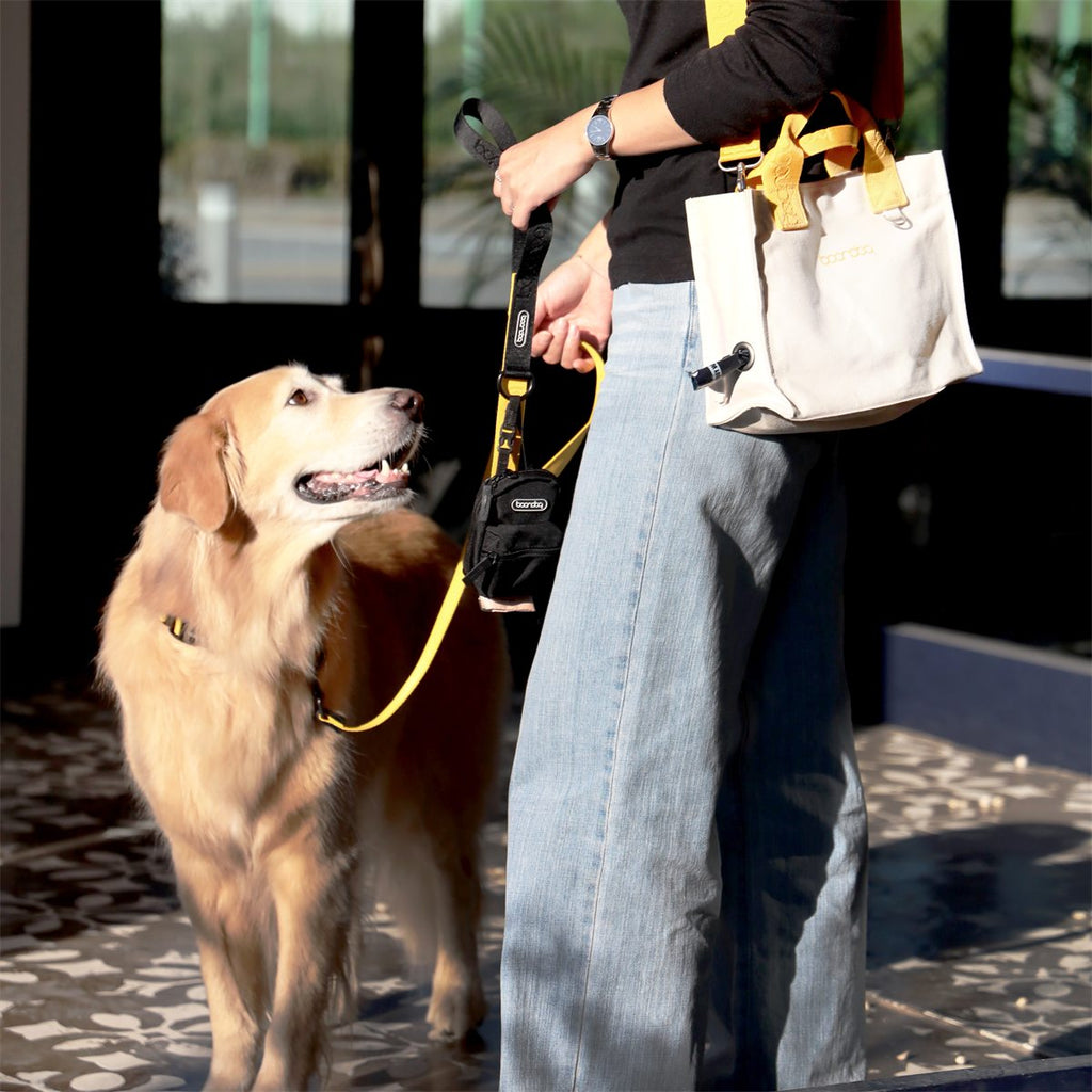 Original Leash 1,4 m in gebruik