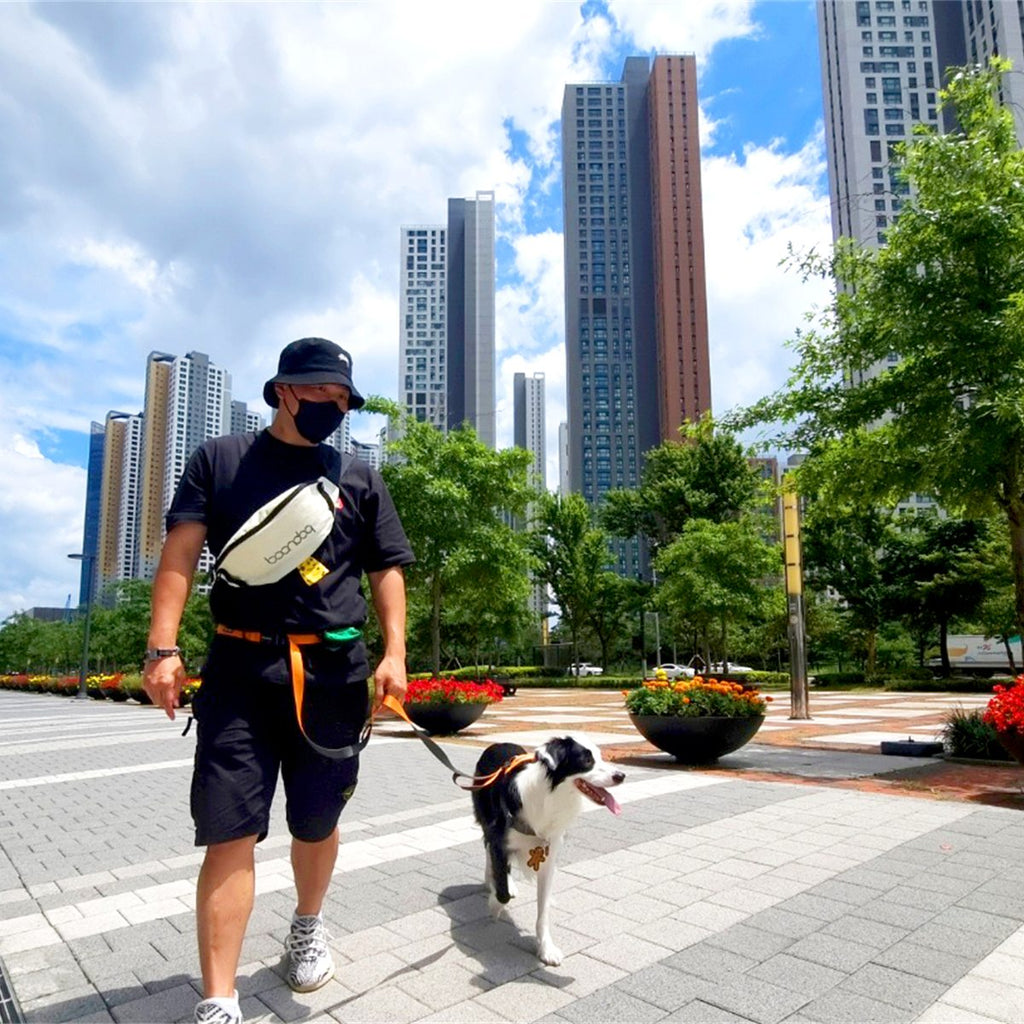 Play Leash 2.0 in gebruik