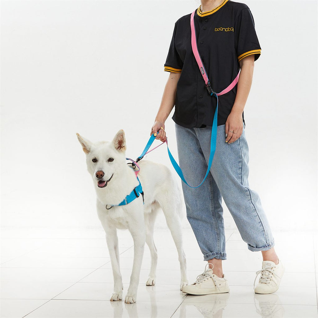 Play Leash 2.0 in gebruik