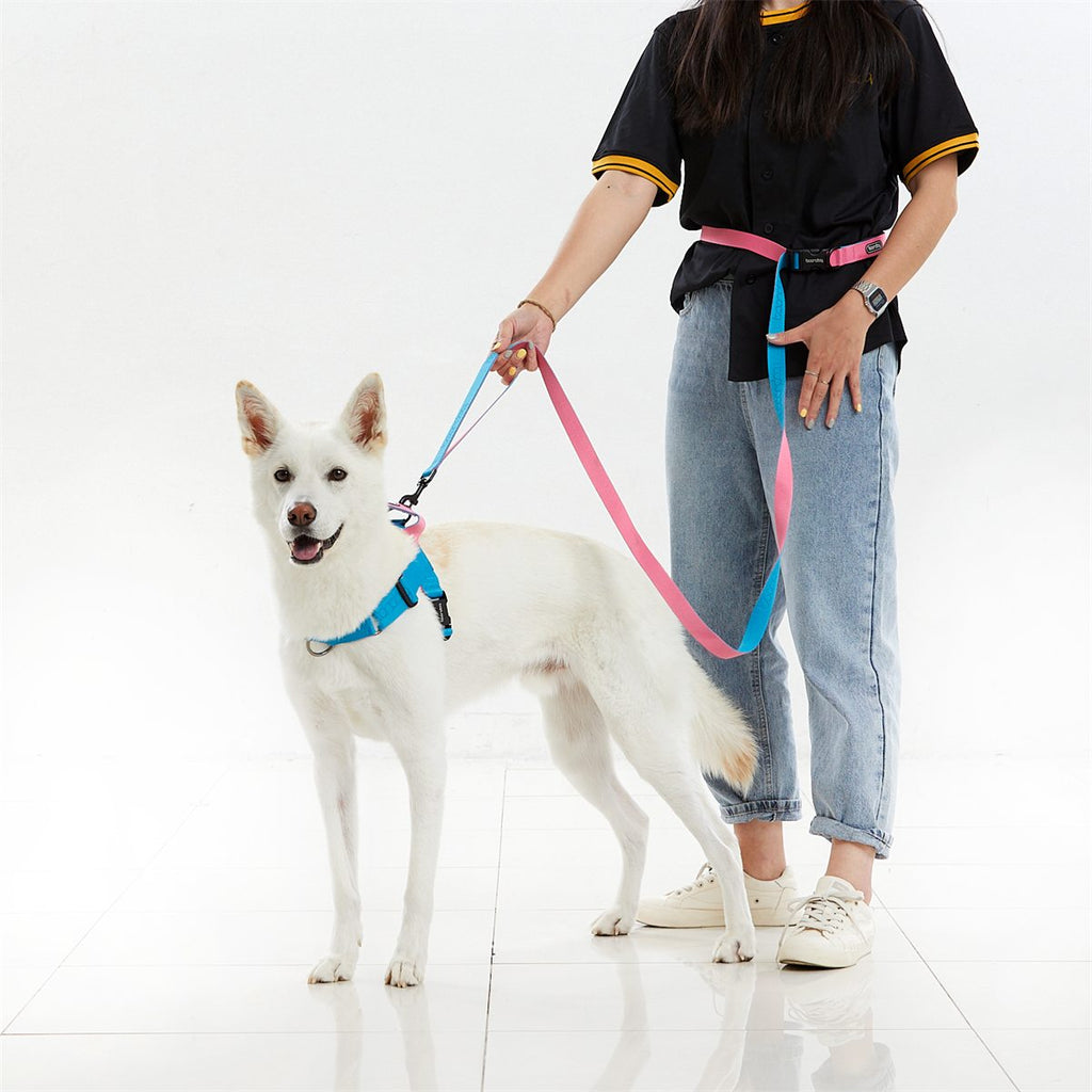 Play Leash 2.0 in gebruik