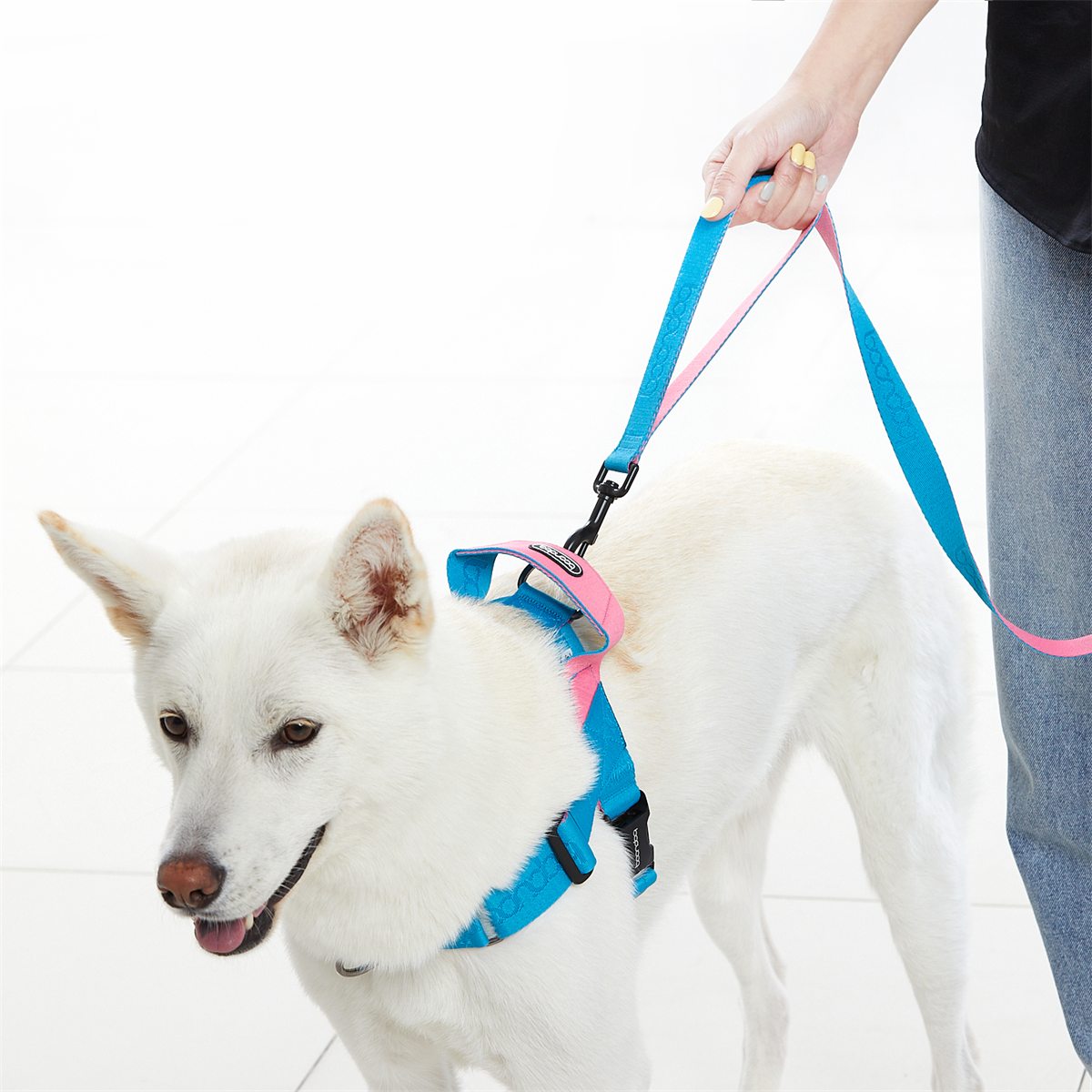 Play Leash 2.0 in gebruik