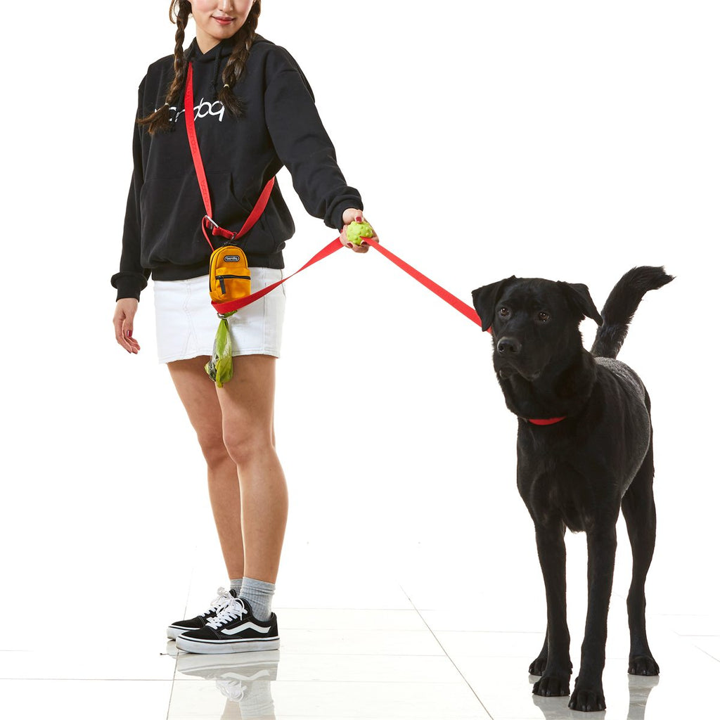 Play Leash 2.5 in gebruik
