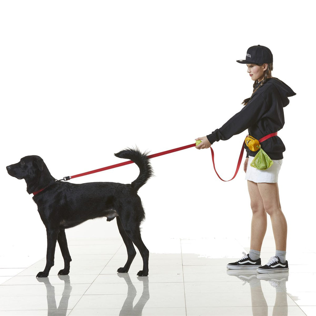 Play Leash 2.5 in gebruik