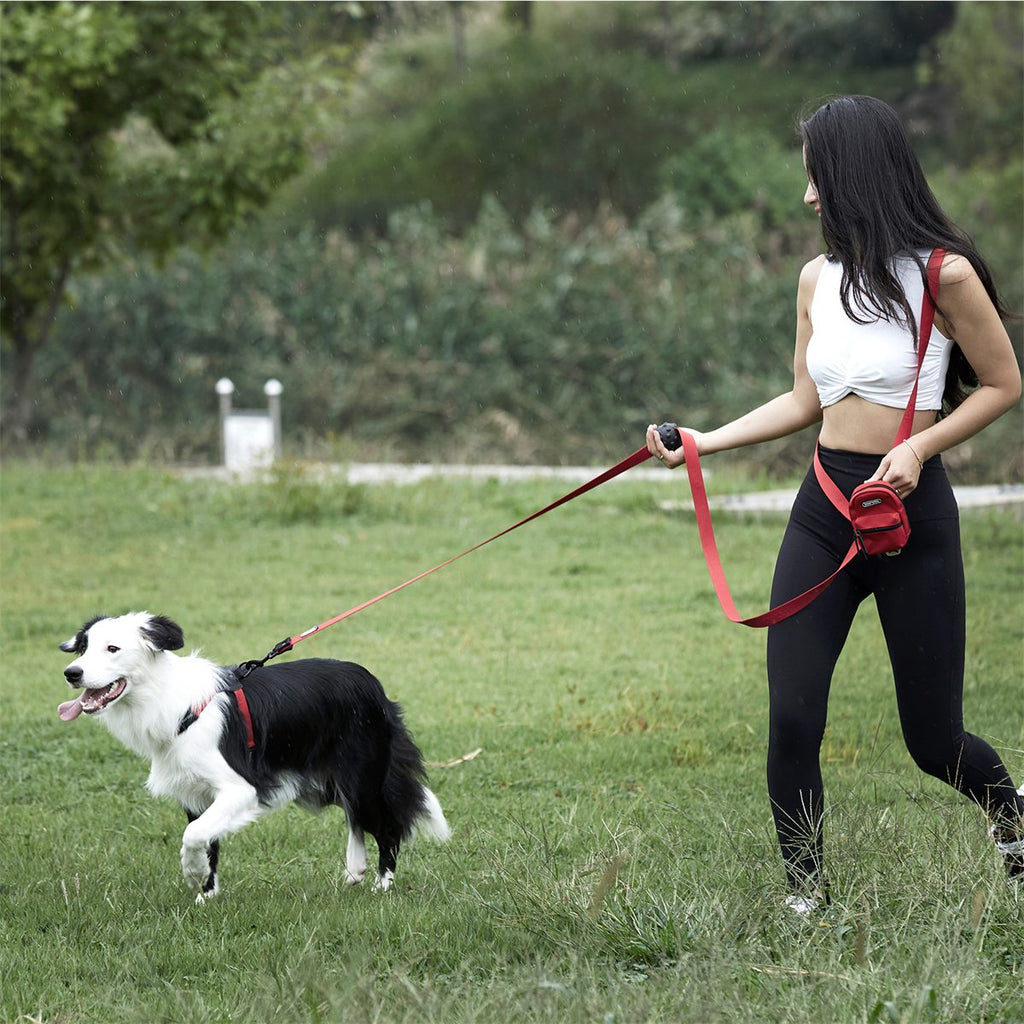 Play Leash 3.2 in gebruik
