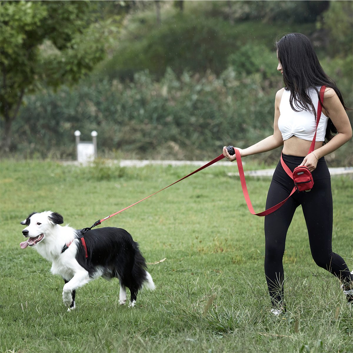 Play Leash 3.2 in gebruik
