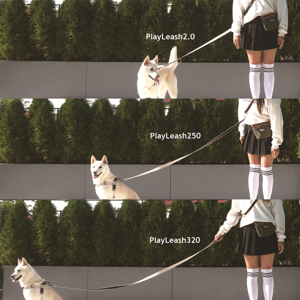 Play Leash 3.2 in gebruik