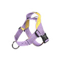0109 Harness in de kleurstelling Purple/Lemon