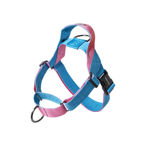 0109 Martingale Harness in kleurstelling Aqua/Pink
