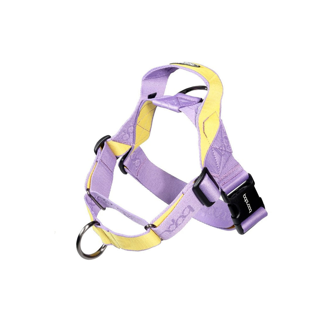 0109 Martingale Harness in the colourway Purple/Lemon