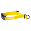 Joy Collar in de kleurstelling Yellow
