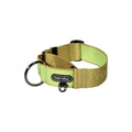 Martingale Collar Wide in the colourway Kiwi