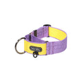 Martingale Collar Wide in the colourway Purple/Lemon