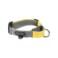 Martingale Collar in the colourway Gray/Lemon