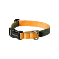 Original Collar in de kleurstelling Khaki/Orange