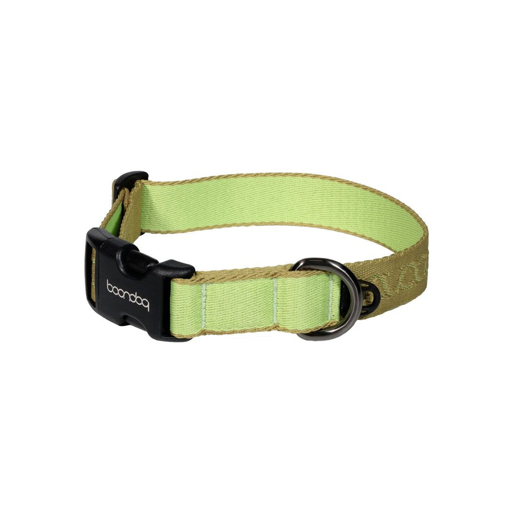 Original Collar in de kleurstelling Kiwi