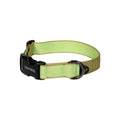 Original Collar in de kleurstelling Kiwi
