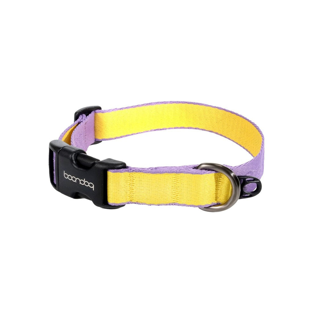 Original Collar in de kleurstelling Purple/Lemon