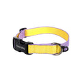Original Collar in de kleurstelling Purple/Lemon