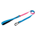 Original Leash 1,4 m in kleurstelling Aqua/Pink