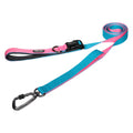 Play Leash 2.0 in kleurstelling Aqua/Pink